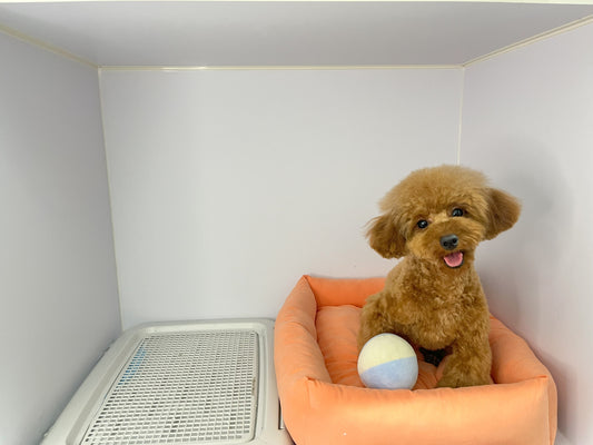 【年末年始】ホテルのご案内