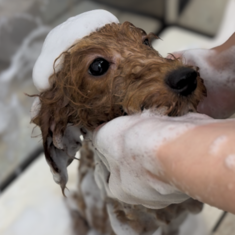 11月キャンペーンのお知らせ