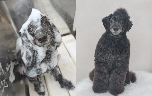 4月キャンペーンのお知らせ